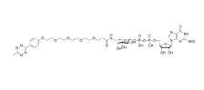 2762518-76-1    GDP-Fucose-Tz    糖核苷二磷酸-四嗪   点击化学试剂