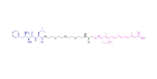 CAS:	1225383-41-4	PROTAC CRABP-II Degrader-3    PROTACs（蛋白降解靶向嵌合体）