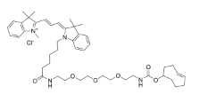  Cy3-PEG3-TCO4    Cyanine 3 (Cy3)染料衍生物   点击化学