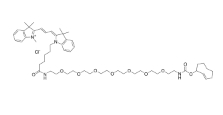  Cy3-PEG7-TCO   Cyanine 3 (Cy3)染料衍生物   点击化学