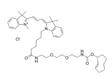  Cy3-PEG2-TCO   Cyanine 3 (Cy3)  染料衍生物   点击化学