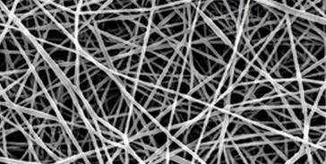 PS纳米纤维网格滤片300nm（厚度：1000um）（直径3/8cm）（网格空隙：400um） 