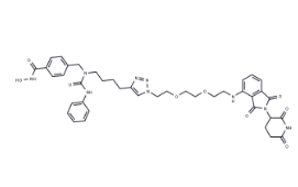 CAS:2439058-23-6	HDAC6 degrader-1	化合物 HDAC6 degrader-1