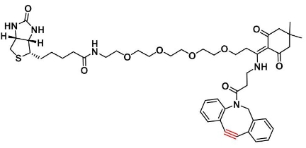 1807512-43-1   Dde Biotin-PEG4-DBCO   Dde-生物素-四聚乙二醇-二苯并环辛炔