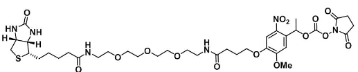 2353409-93-3   PC Biotin-PEG3-NHS carbonate ester   PC-生物素-三聚乙二醇-琥珀酰亚胺酯-碳酸酯