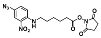 CAS:64309-05-3    SANPAH   N-琥珀酰亚胺基-6-(4^-叠氨基-2~-硝基苯基氨基)己酸酯