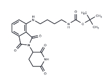 CAS:	2093388-52-2	Thalidomide-NH-C4-NH-Boc	泊马度胺-NH-C4-氨基叔丁酯