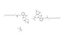 CAS:	1950635-14-9	Thalidomide-O-amido-C6-NH2 TFA	化合物T17919