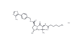 CAS:	2245697-83-8	(S,R,S)-AHPC-C4-NH2 hydrochloride	(S,R,S)-AHPC-C4-氨基