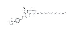 CAS:	2010159-57-4	(S,R,S)-AHPC-PEG4-NH2	(S,R,S)-AHPC-四聚乙二醇-氨基