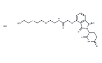 CAS:	2376990-30-4	Thalidomide-O-amido-PEG2-C2-NH2 hydrochloride	萨力多胺-O-AMIDO-二聚乙二醇-C2-氨基盐酸盐