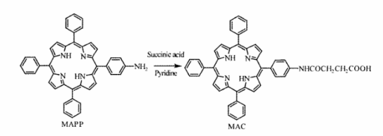 单氨基四苯基卟啉(MAPP)