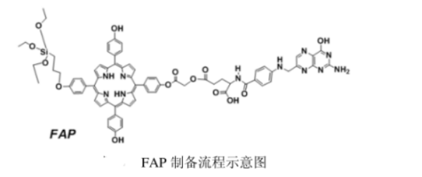 叶酸卟啉（FAP）