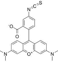 四甲基罗丹明-5-异硫氰酸单一化合物/CAS:80724-19-2