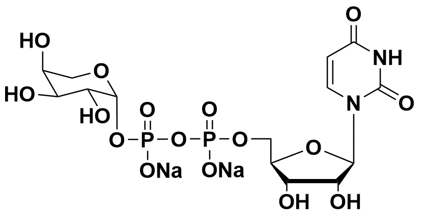 UDP-L-Arabinose 15839-78-8 （尿苷二磷酸-L-阿拉伯糖）