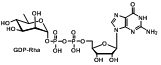 GDP-Rhamnose GDP-D-鼠李糖 二磷酸鸟嘌呤核苷标记鼠李糖