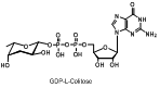GDP-L-Colitose GDP-L-半乳糖苷酸