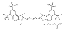 水溶性CY5.5羧酸cooh-cy5.5-sulfo磺化基团 CAS：210892-23-2