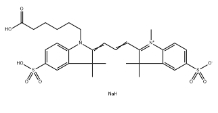 磺化cy3羧基；cas:1941997-61-0；Sulfo-Cyanine3 carboxylic acid