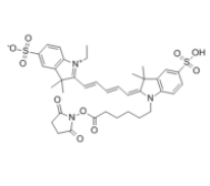 	Cyanine 5, SE 