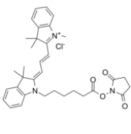 Cy3 NHS ester 