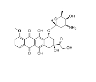 阿霉素Doxorubicin cas:23214-92-8，FITC-DOX