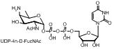 UDP-4n-D-FucNAc 尿苷二磷酸糖 UDP-D-XylNAc