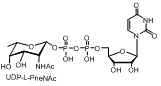 UDP-L-PneNAc;尿苷二磷酸-L-肺尿酸