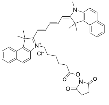 活化酯CY5.5/Cy5.5-N-羟基琥珀酰亚胺酯 CAS号：1469277-96-0