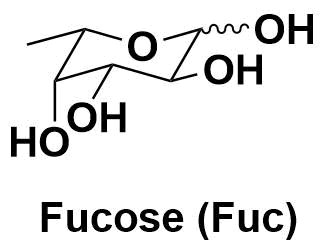 Fucose（鼠李糖，Fuc）Fucose的化学式为C₆H₁₂O₆