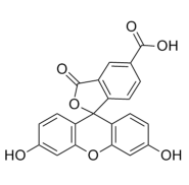 5-羧基荧光素  