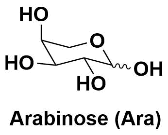 阿拉伯糖（Arabinose，Ara）L-Arabinose  L-阿拉伯糖