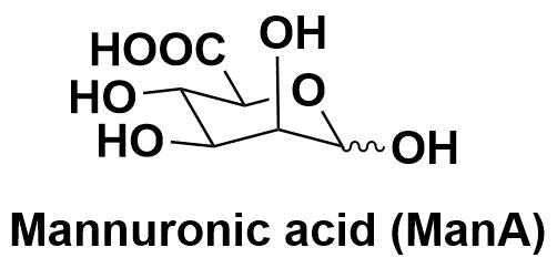 甘露醇酸（Mannuronic acid，ManA）