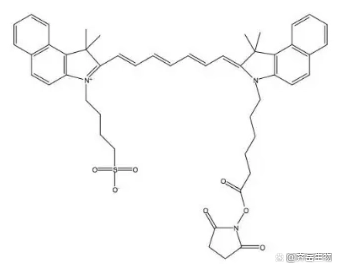 IR825 NHS ester