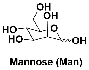 甘露糖（Mannose，Man）