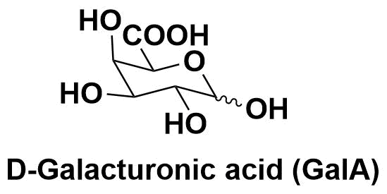 D-半乳糖醛酸（D-Galacturonic acid，GalA）