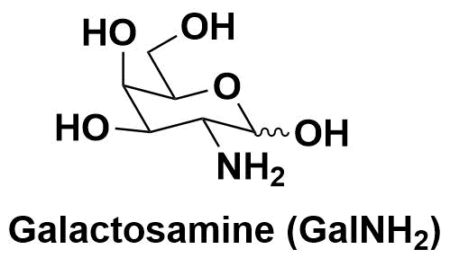 半乳胺（Galactosamine，GalNH₂）