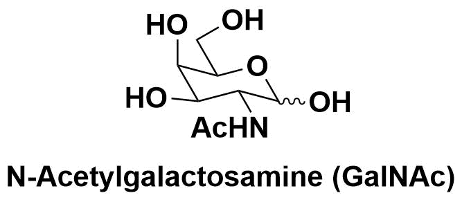 N-乙酰半乳胺（N-Acetylgalactosamine，GalNAc）