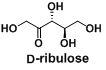 D-核酮糖（D-ribulose）CAS: 488-84-6