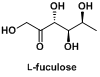 cas:13074-08-3 L-fuculose 墨角藻糖