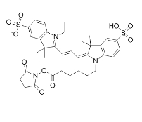 146368-16-3，Cy3 NHS ester，CY3-NHS酯