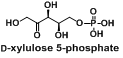 D-木酮糖-5-磷酸（D-xylulose 5-phosphate）