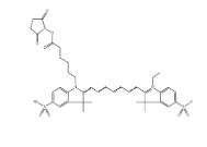 477908-53-5，CY7-N-羟基琥珀酰胺酯，CY7-Sulfo NHS Ester