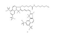 2183440-46-0，sulfo-Cy5.5 NH2，磺酸化CY5.5氨基