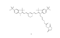 磺酸基-Cy7-N- 羟基琥珀酰亚胺酯（CAS：1603861- 95-5）