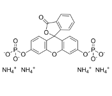 荧光素二磷酸酯四铵盐；217305-49-2；FDP