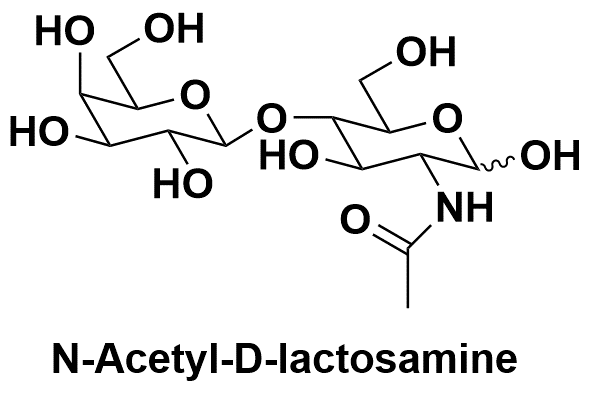 N-Acetyl-D-lactosamine N-乙酰基-D-乳糖胺 