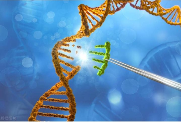 基于CRISPR-Cas的基因编辑技术