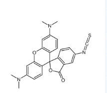 CAS号:95197-95-8;5(6)-TRITC;四甲基罗丹明-5(6)-异硫氰酸 CAS号:95197-95-8;5(6)-TRITC;四甲基罗丹明-5(6)-异硫氰酸