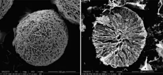 碳基气凝胶微球应用,提供氧化石墨烯气凝胶微球SEM图